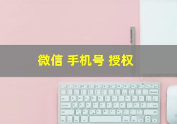 微信 手机号 授权